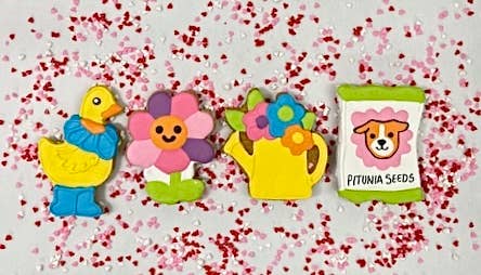 Lucky Biscuit Pet Bakery - Colorburst Spring Bloom Collection: Cosmic Otter