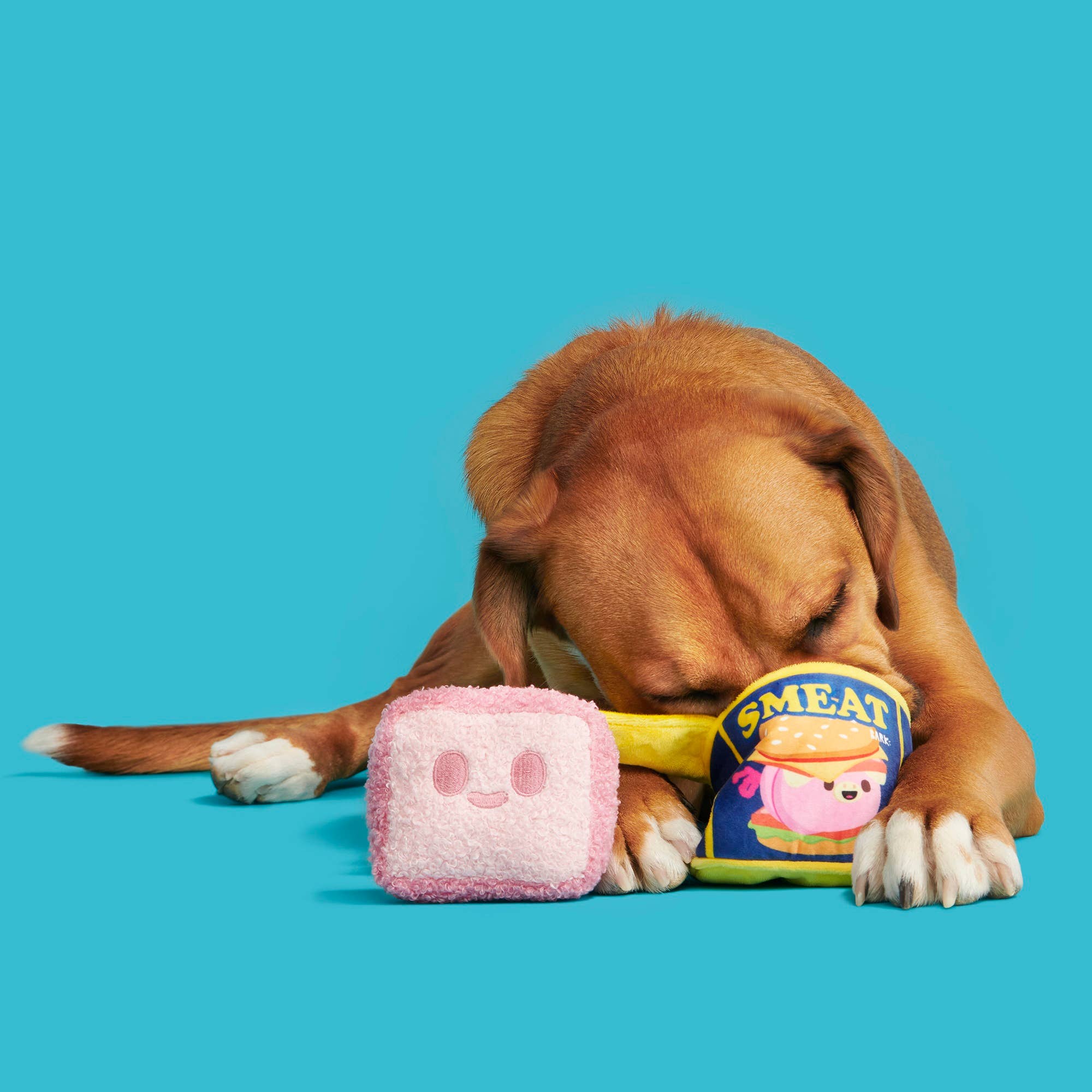 BARK Canned SMEAT Plush Dog Toy