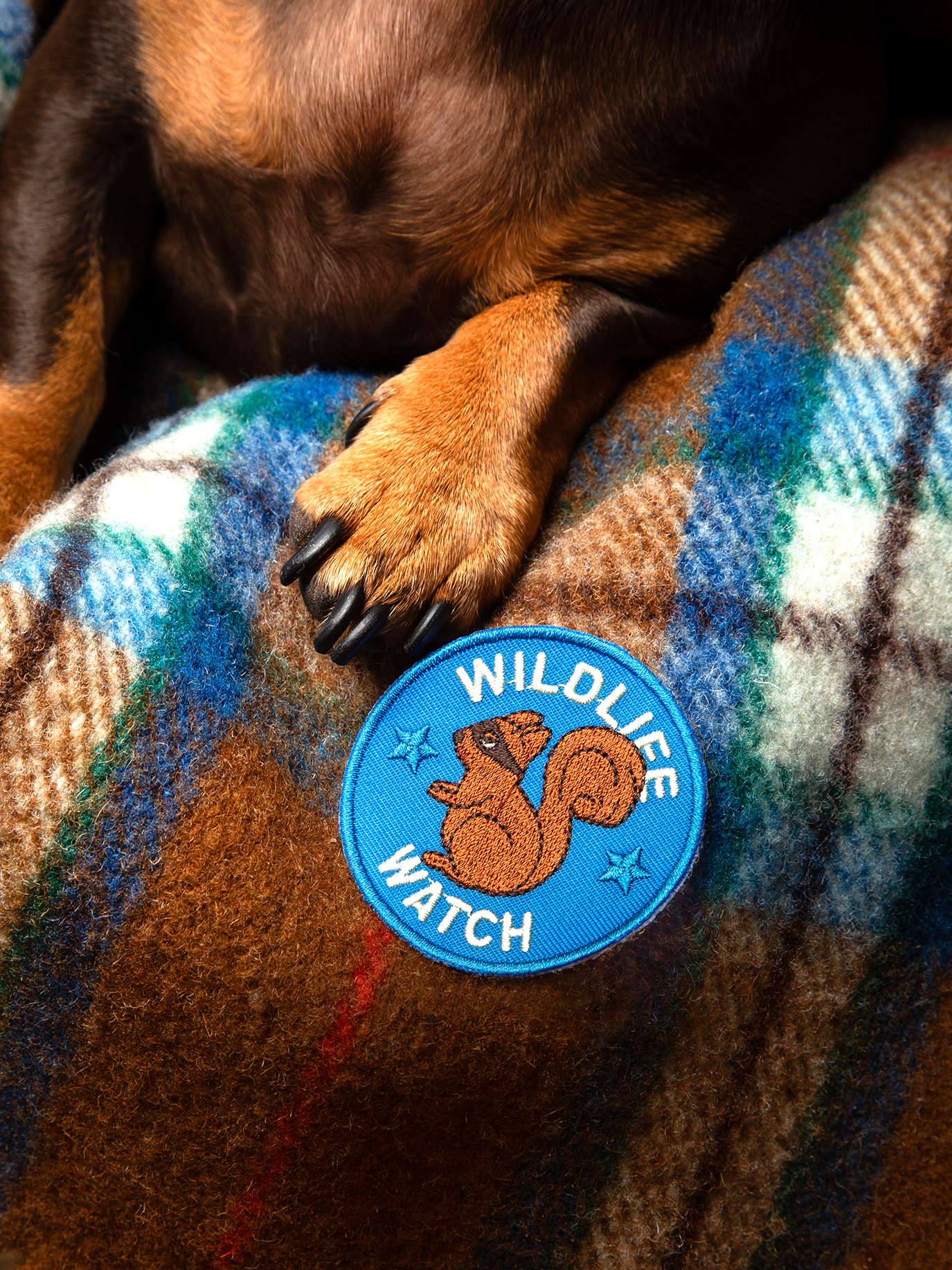 Scout's Honour Pty Ltd - Wildlife Watch iron-on patch for dogs and cats