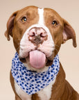 The Paws - Berry Dog Bandana