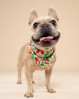 The Paws - Farmers Market Dog Bandana