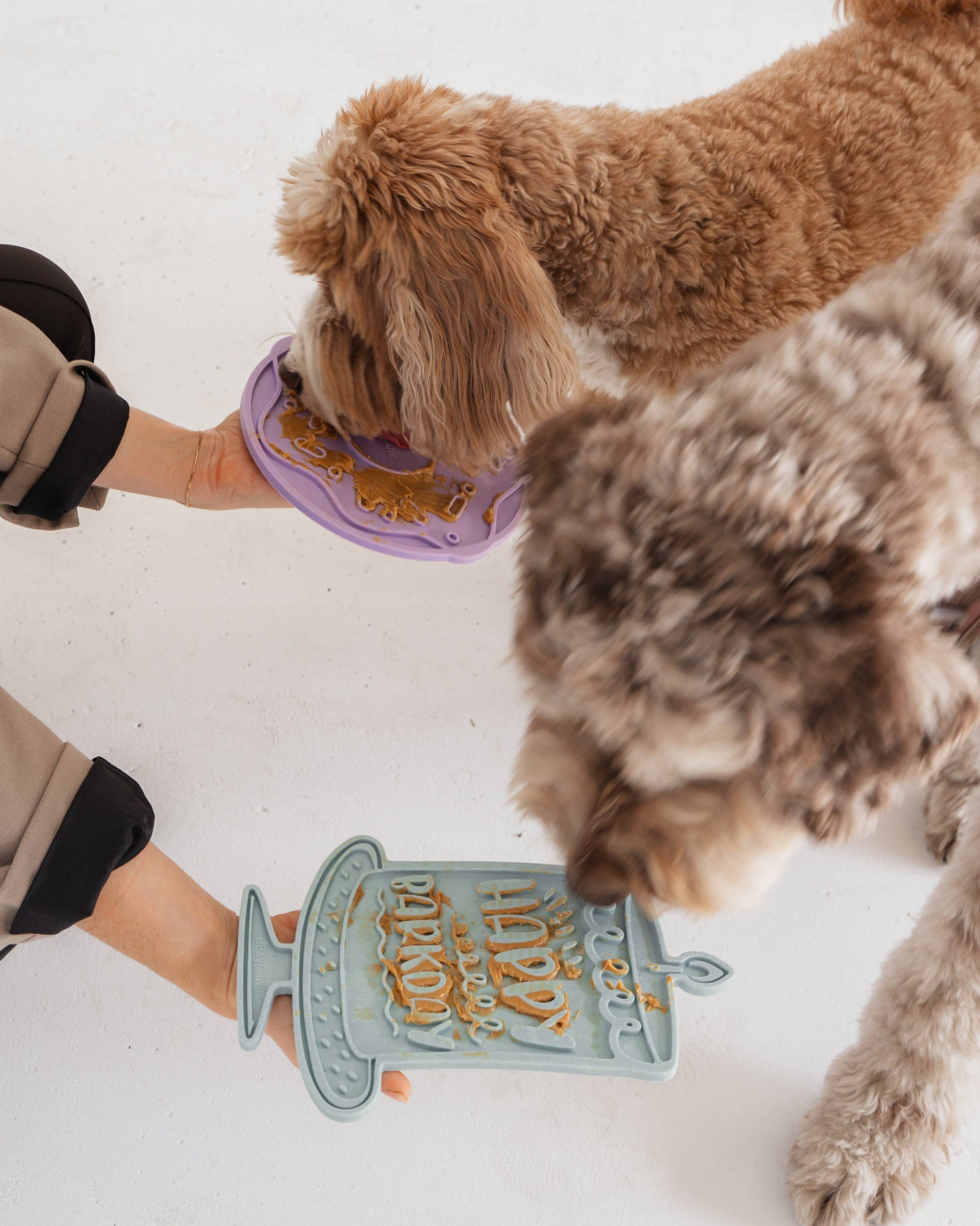dexypaws - Barkday Bash Enrichment Lick Mat