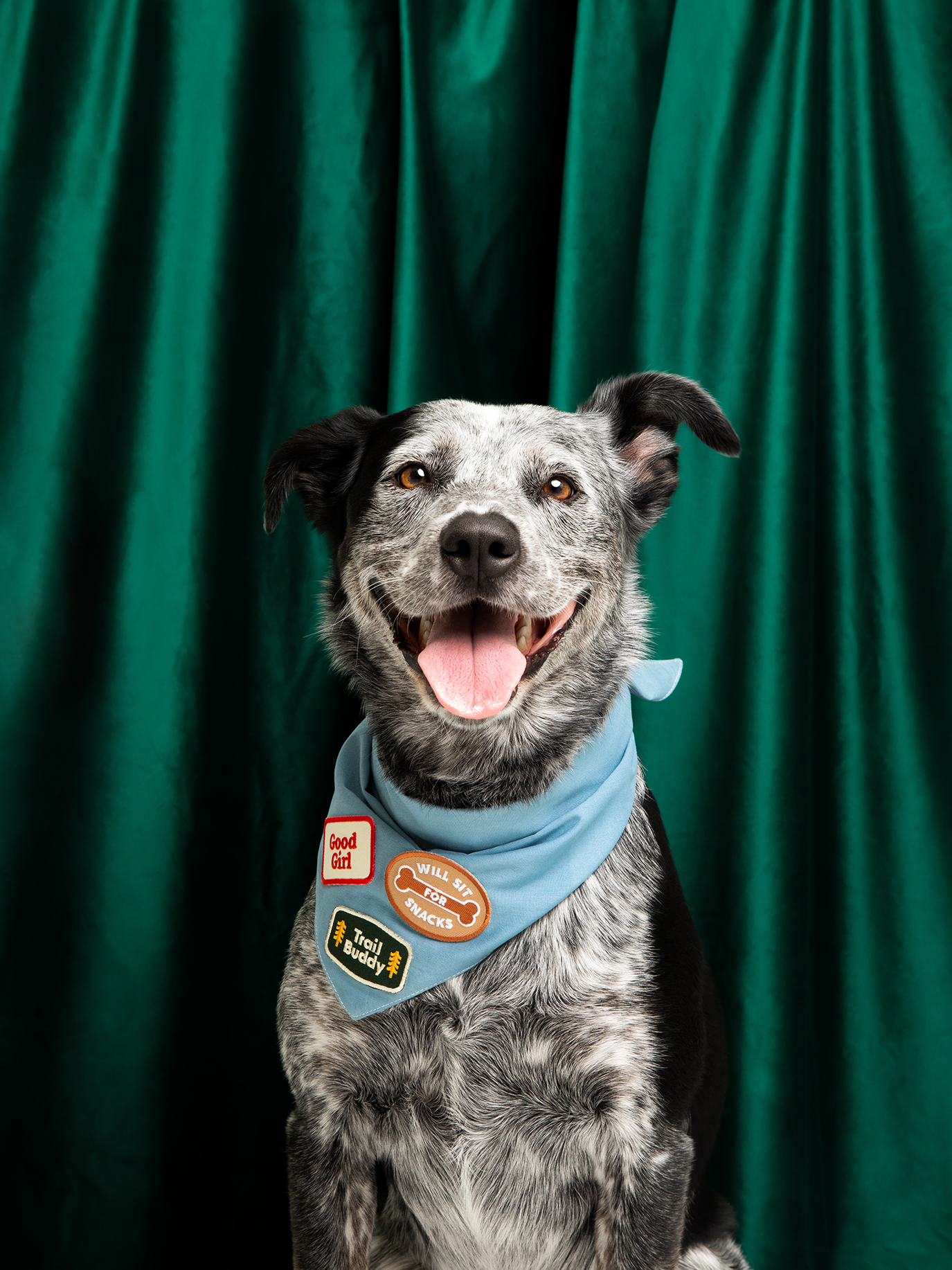 Scout's Honour Pty Ltd - Good Girl iron-on patch for dogs