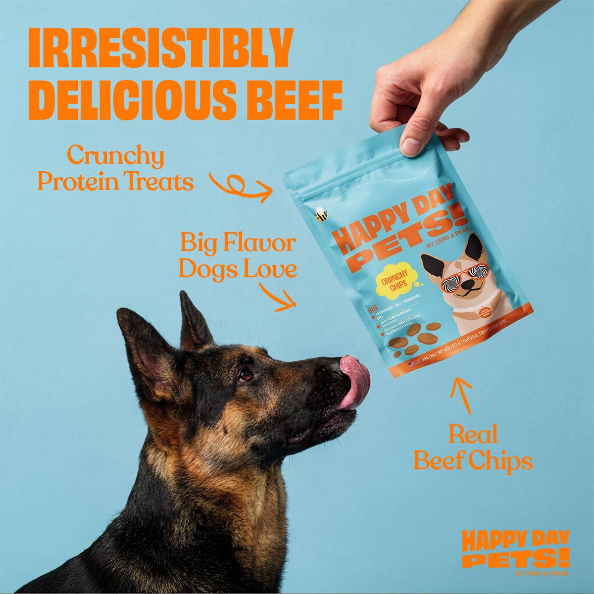 Happy Day Pets - Happy Day Pets Beef Chips Dog Treats | 100% Whole Beef
