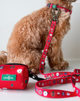 Lucy & Co. - Happy Howlidays Leash