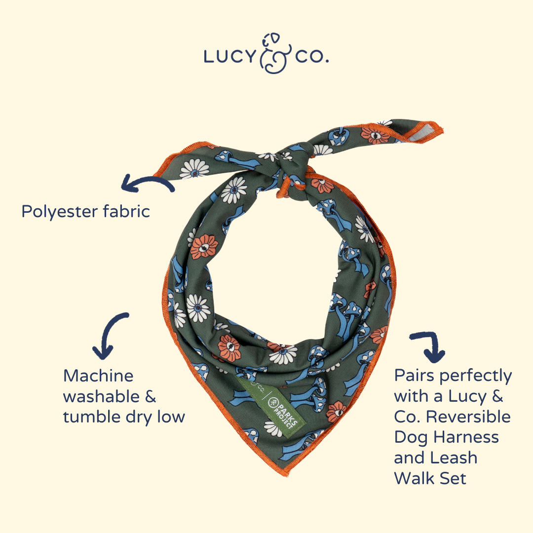 Lucy &amp; Co. - Lucy &amp; Co. x Parks Project Power to the Parks Bandana