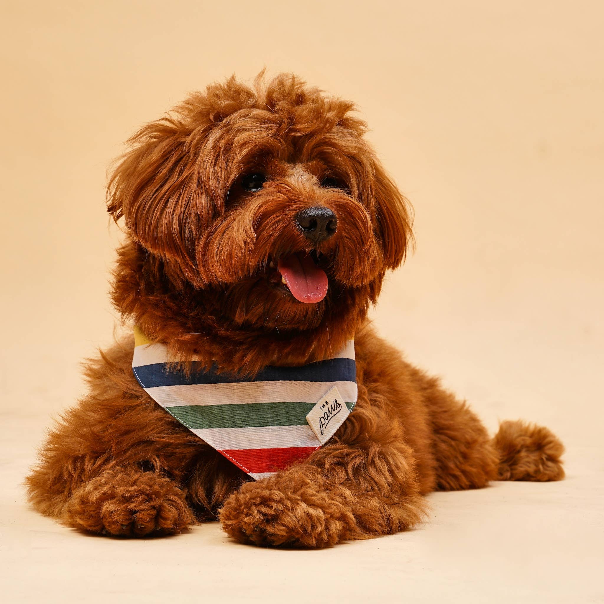 The Paws - Frontier Dog Bandana – The Modern Dog Company Store
