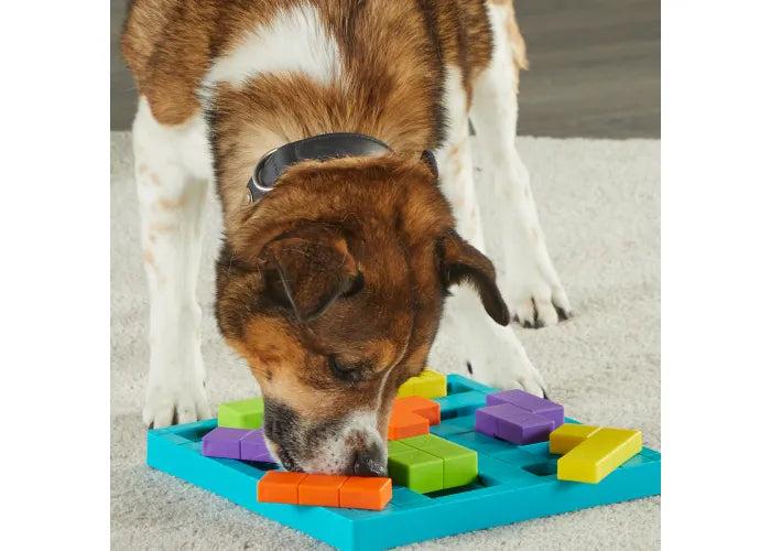 Brightkins Brain Teaser Treat Puzzle