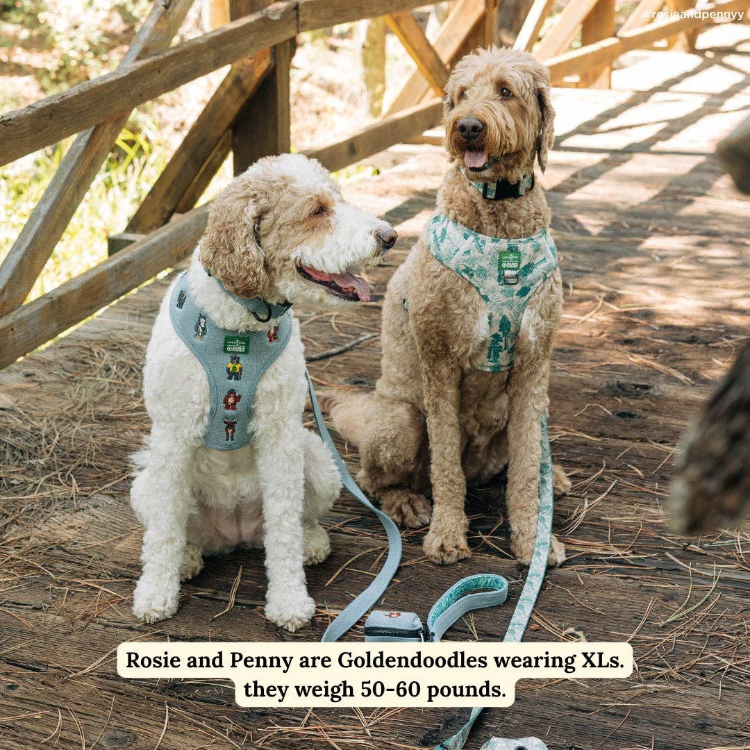 Lucy &amp; Co. - Lucy &amp; Co. x Parks Project Sequoia Seedlings No-Pull Harness