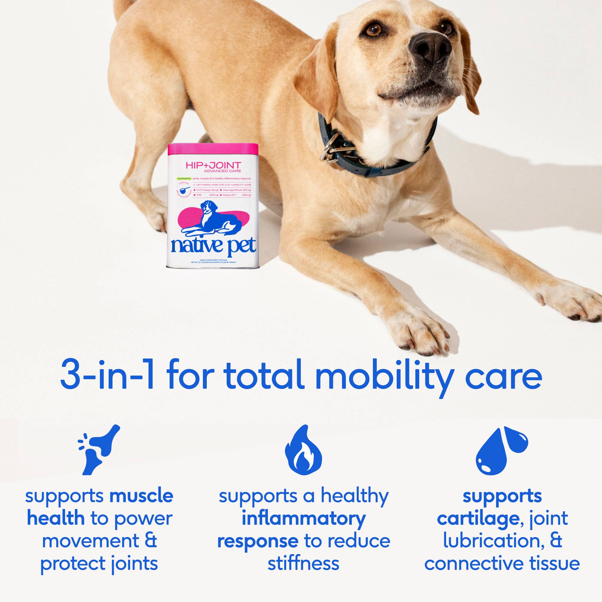 Native Pet - Hip+Joint Advanced Care Powder Joint, Muscle &amp; Inflammation: 60 scoops