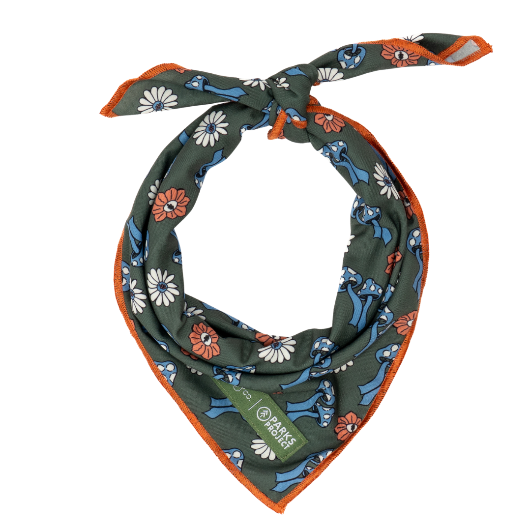 Lucy &amp; Co. - Lucy &amp; Co. x Parks Project Power to the Parks Bandana