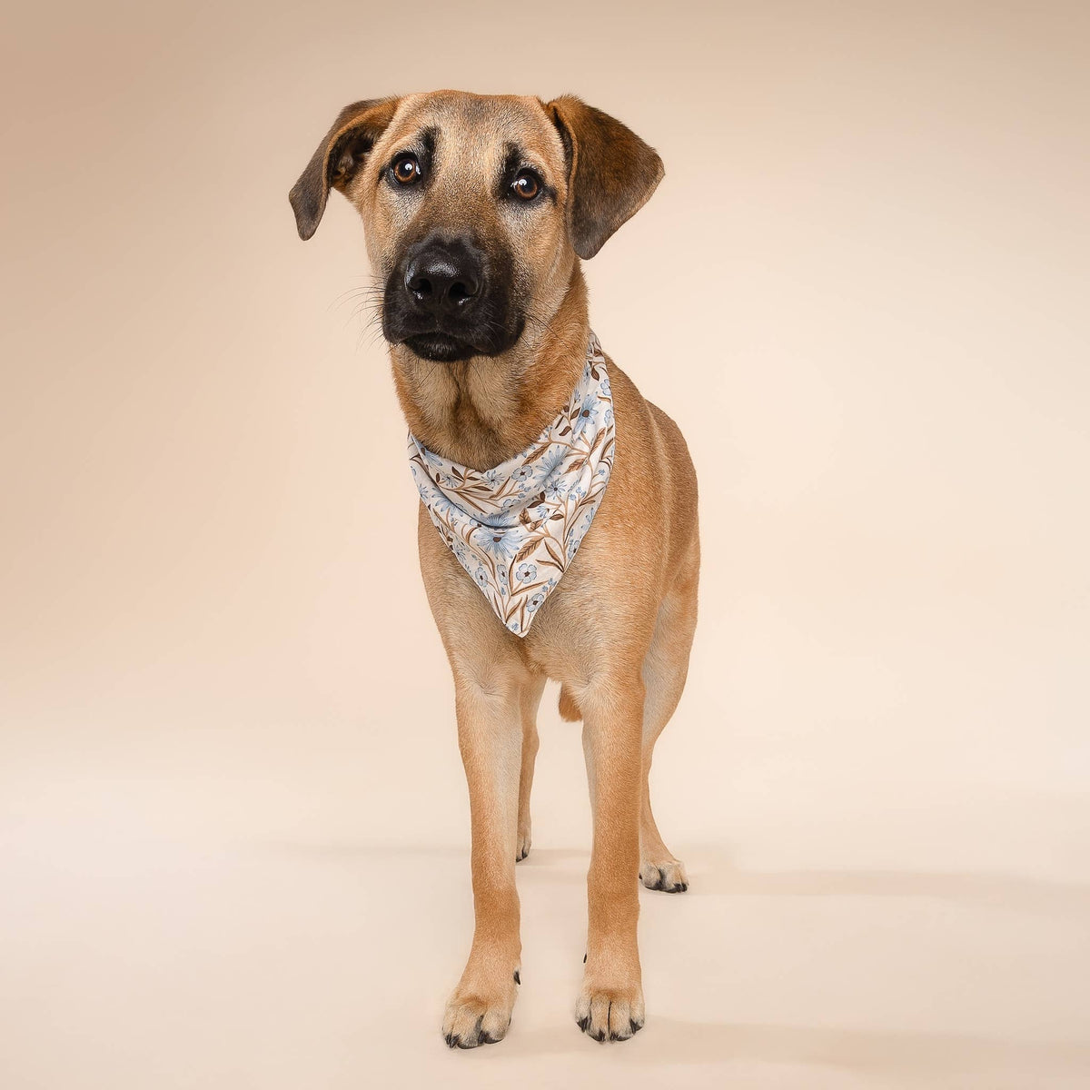 The Paws - Willow Dog Bandana