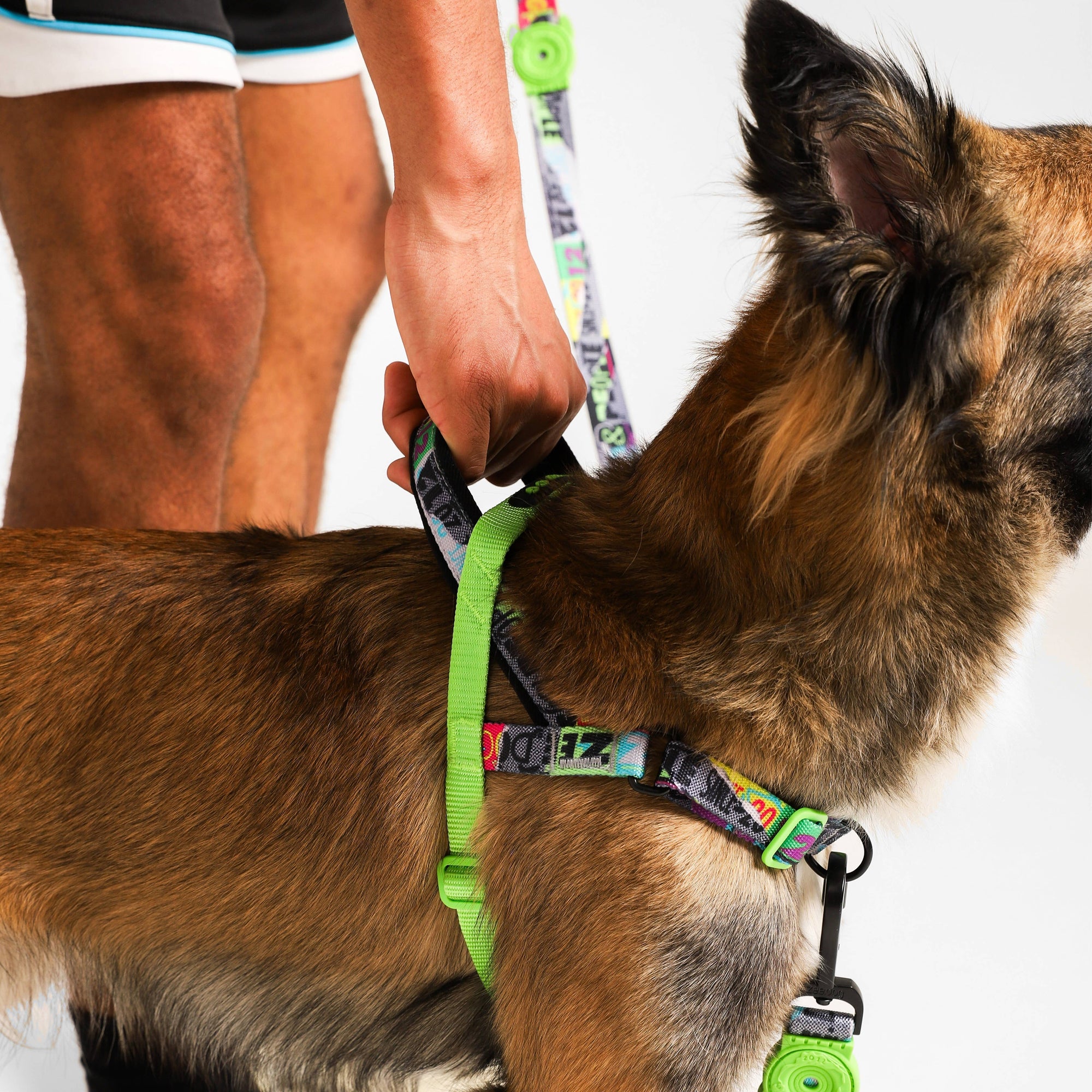 Zee.Dog - Manifesto | SofterWalk Harness: Medium