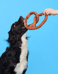 Pet Palette Distribution - BARK Paula's Park Slope Pretzel Plush Dog Toy M