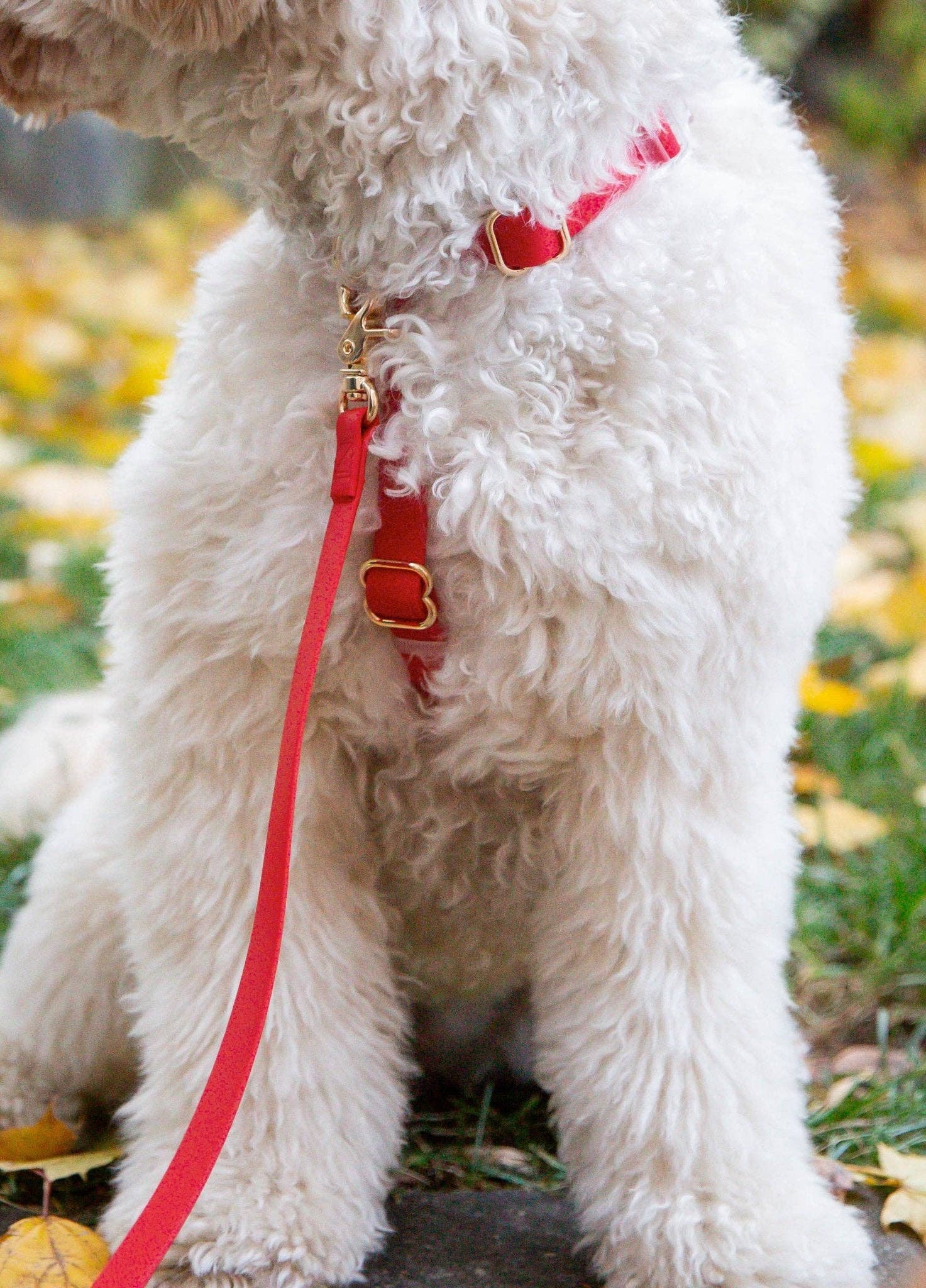 SUNNY TAILS - Cherry Red Waterproof Cloud Dog Leash: 5 FT