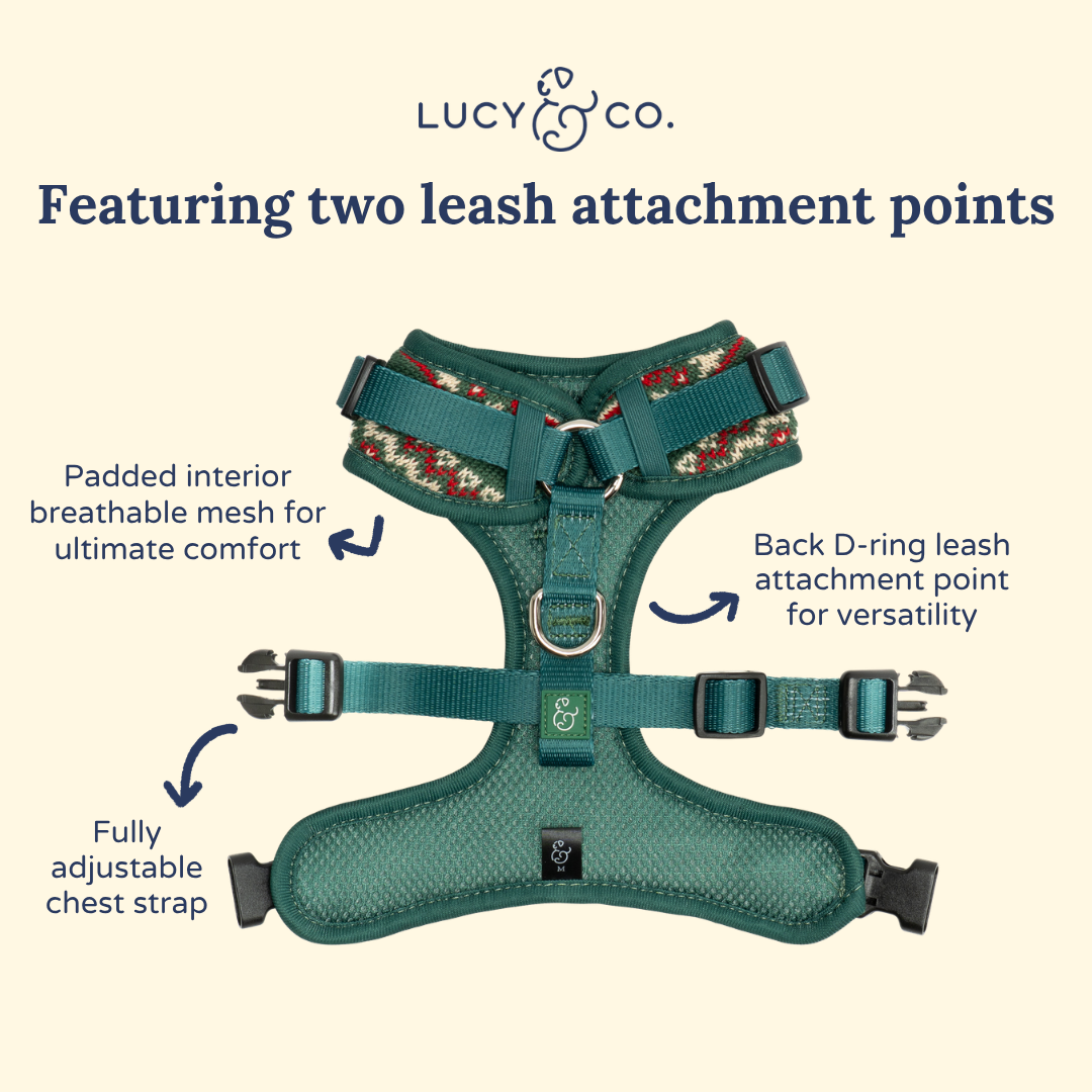 Lucy &amp; Co. - Cozy Cheer No-Pull Harness