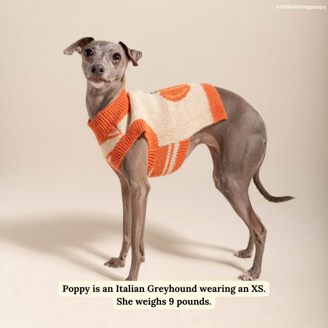 Lucy &amp; Co. - Oh My Gourd Sweater