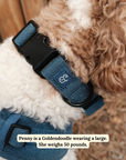 Lucy & Co. - Blue Jeans Collar: S