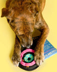 the furryfolks - Vinyl Nosework Toy