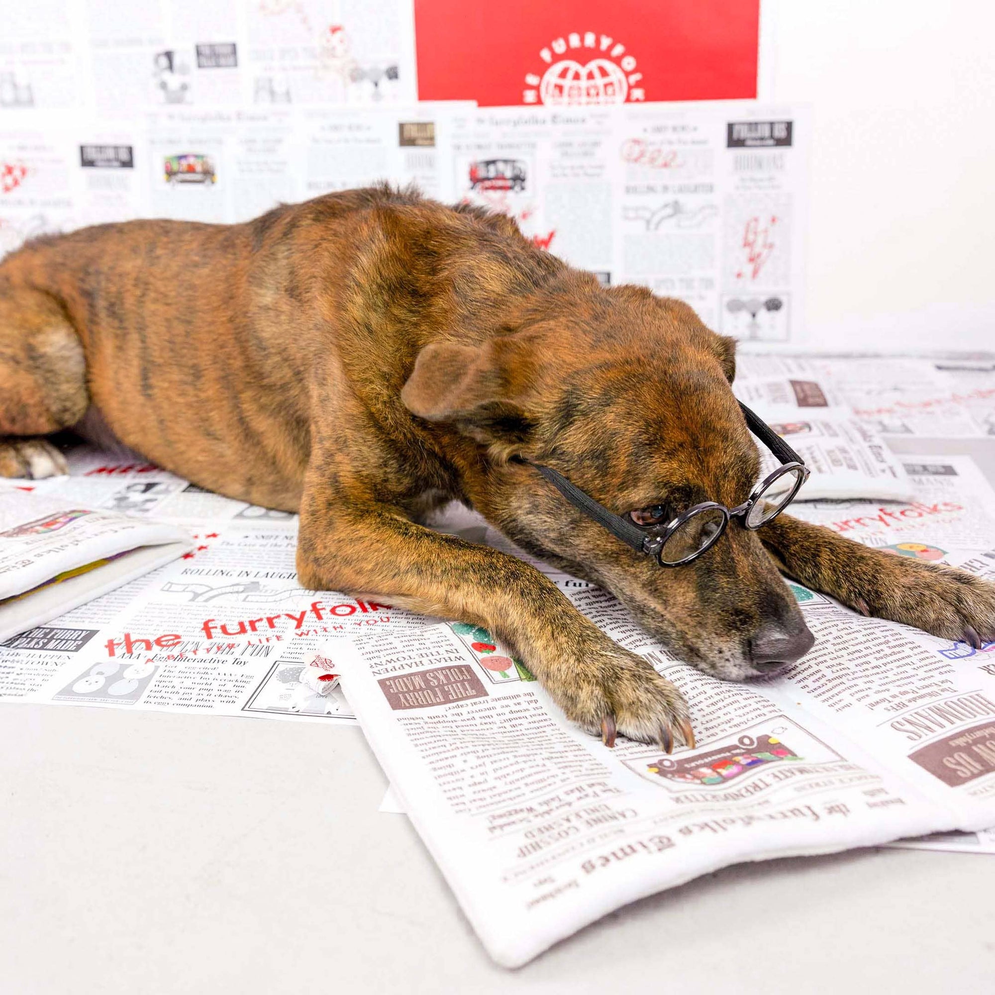 the furryfolks - Newspaper Nosework Toy