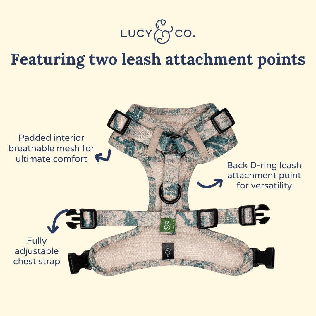 Lucy &amp; Co. - Lucy &amp; Co. x Parks Project Sequoia Seedlings No-Pull Harness