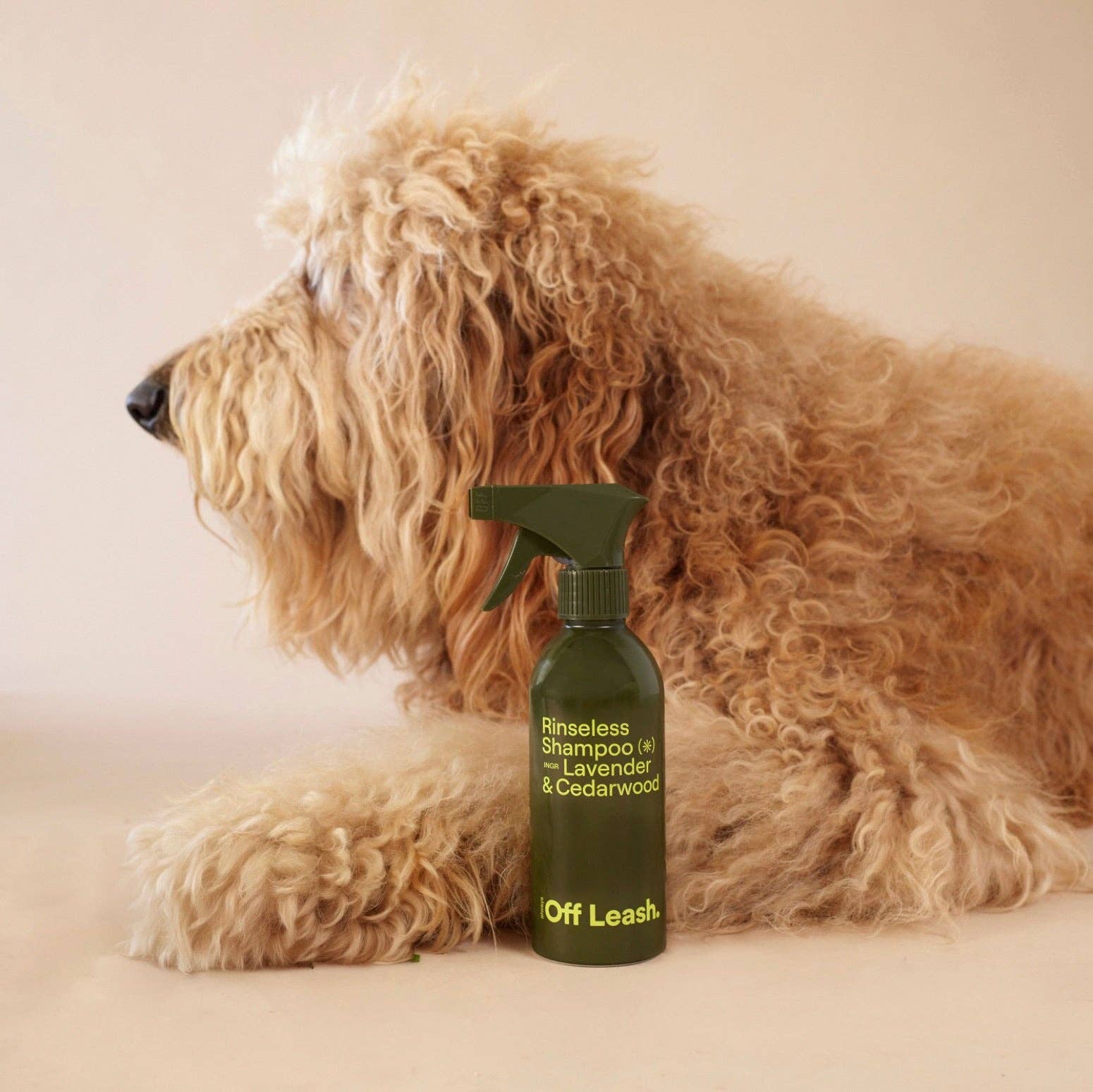 Always Off Leash - Rinseless Shampoo