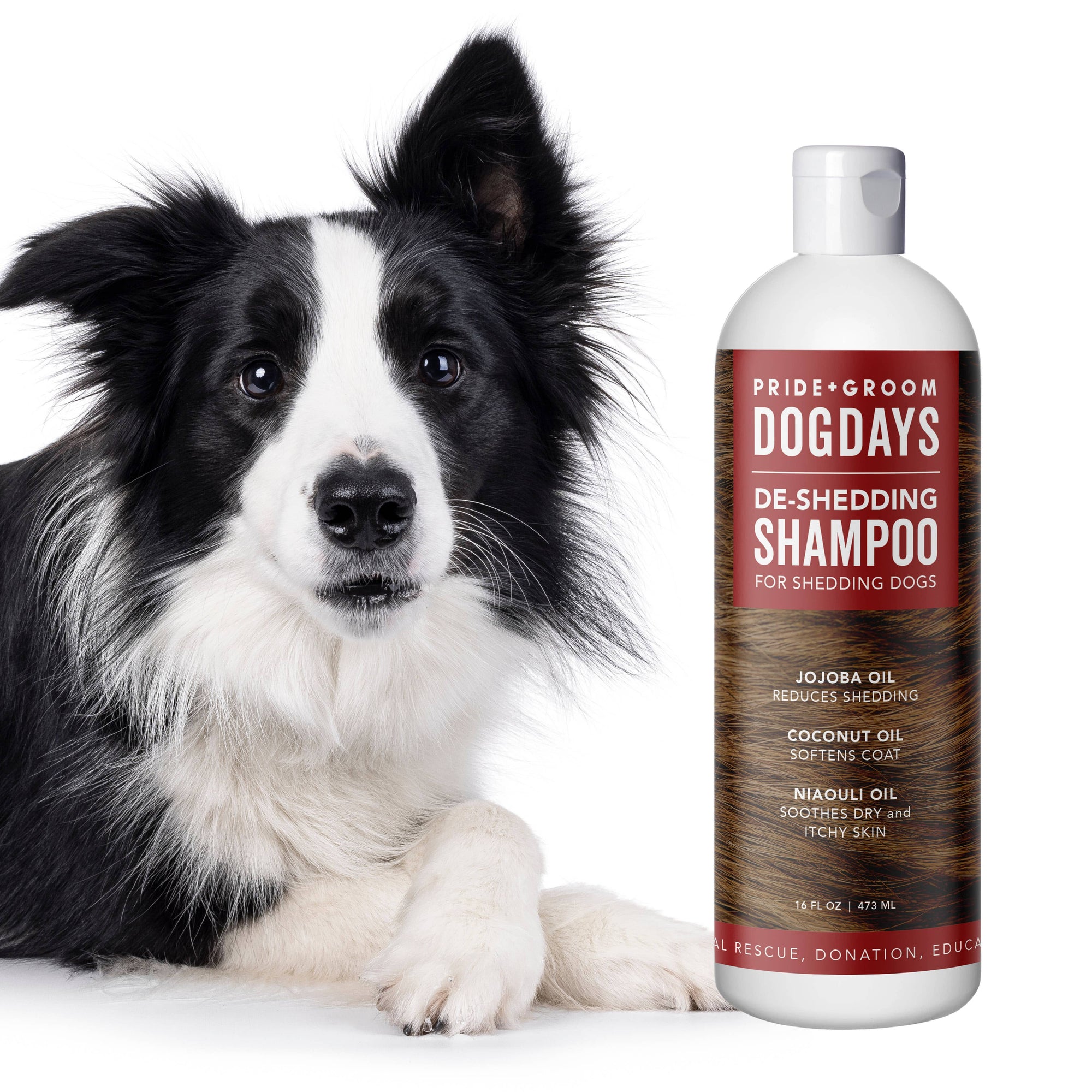 PRIDE + GROOM - DOGDAYS De-Shedding Shampoo Gallon