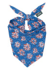 The Paws - Firecrackers 4th of July Dog Bandana