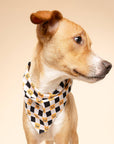 The Paws - Trick or Treat Halloween Dog Bandana