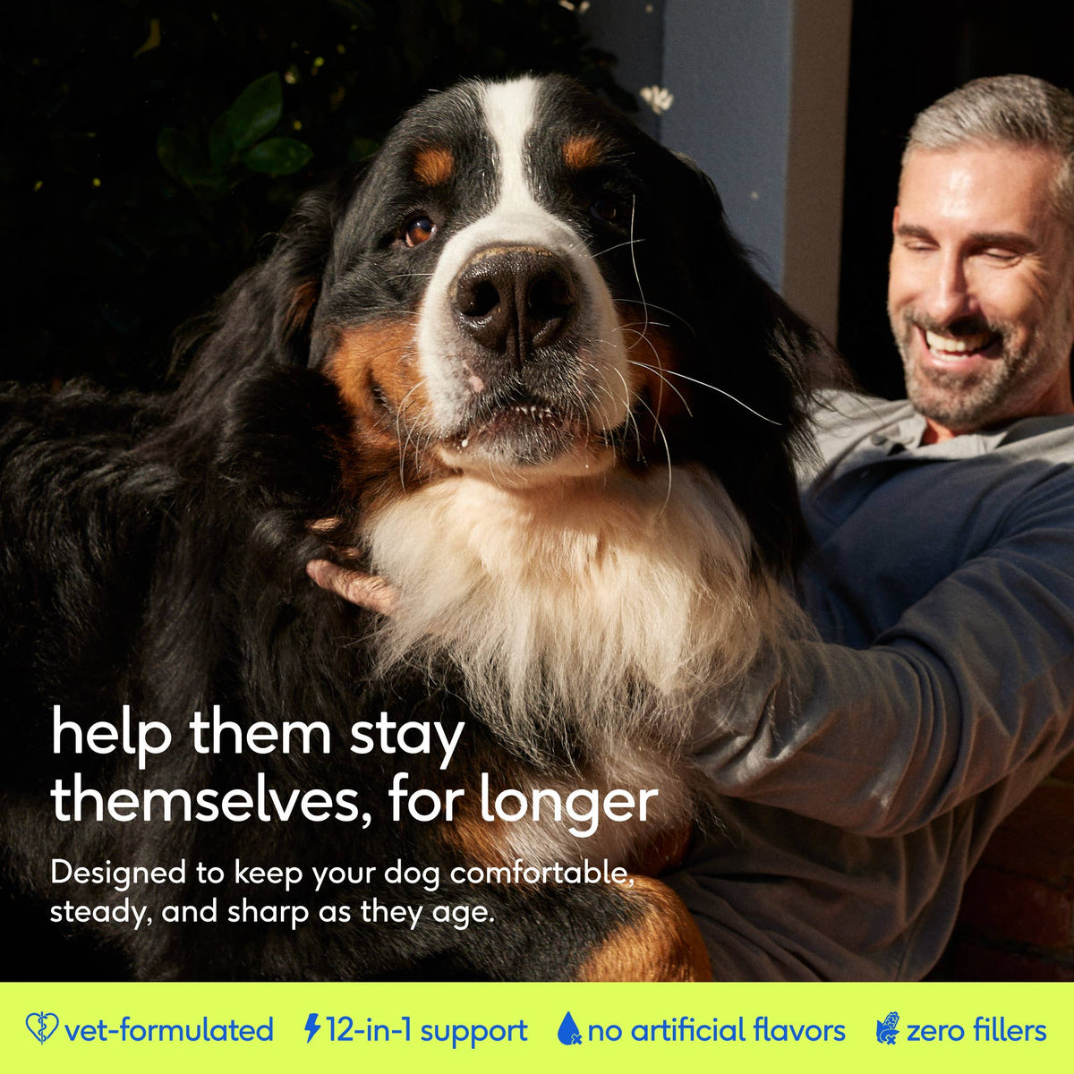 Native Pet - Senior Daily 12-in-1 Multivitamin Powder Supplement for Dogs: 30 scoops