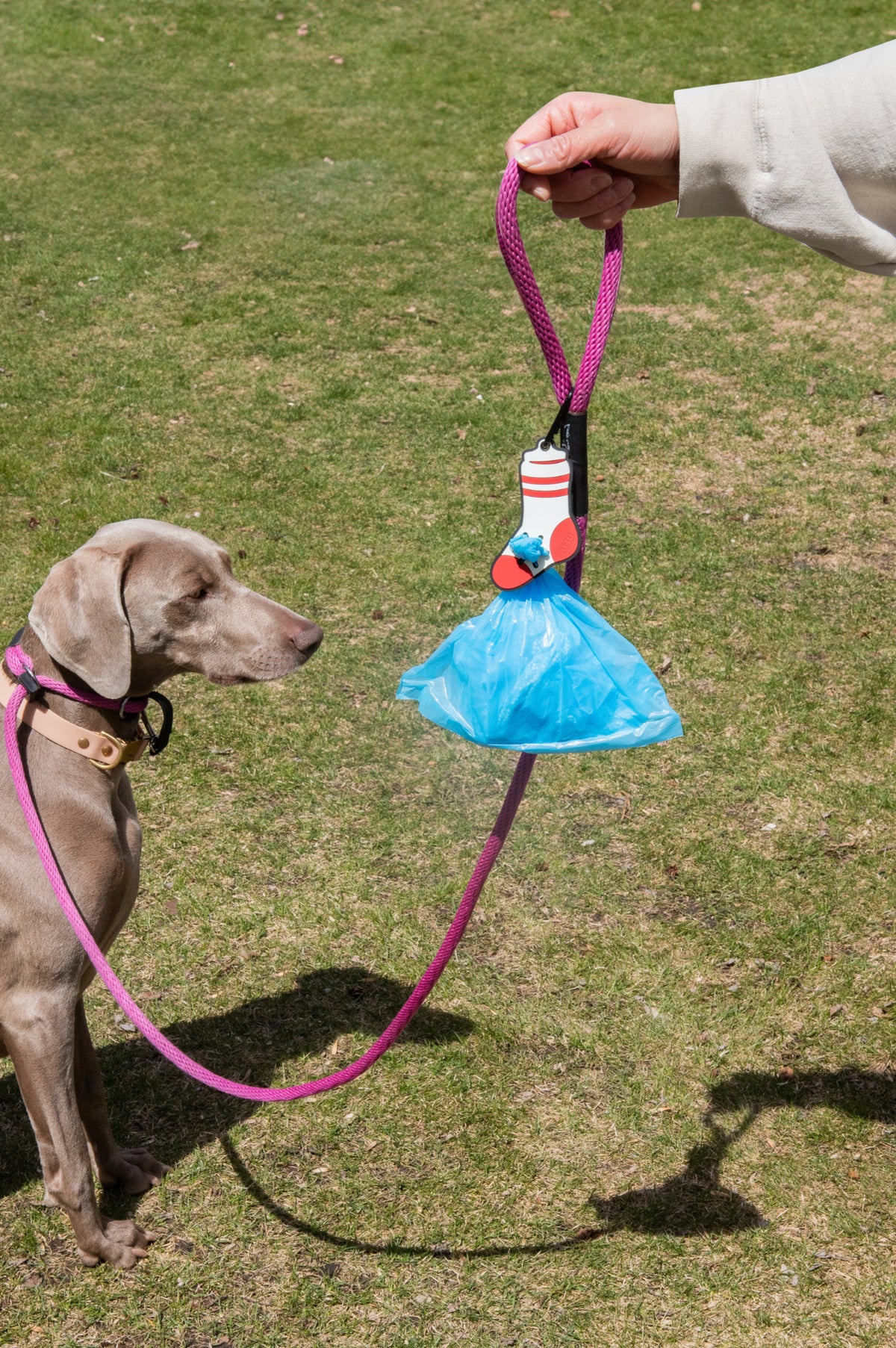 Woof &amp; Wonder - Sock Poopy Loop® Used Dog Waste Bag Holder