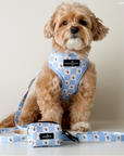 Lucy & Co. - Bumbling Around Poop Bag Holder