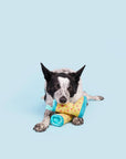 BARK Smelly Wellies