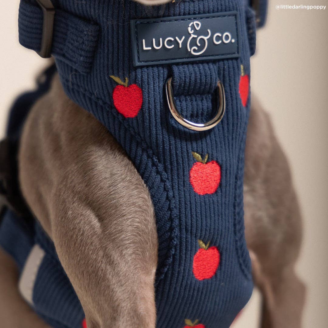 Lucy &amp; Co. - Appley Ever After Corduroy No-Pull Harness