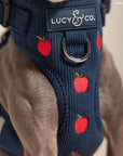 Lucy & Co. - Appley Ever After Corduroy No-Pull Harness