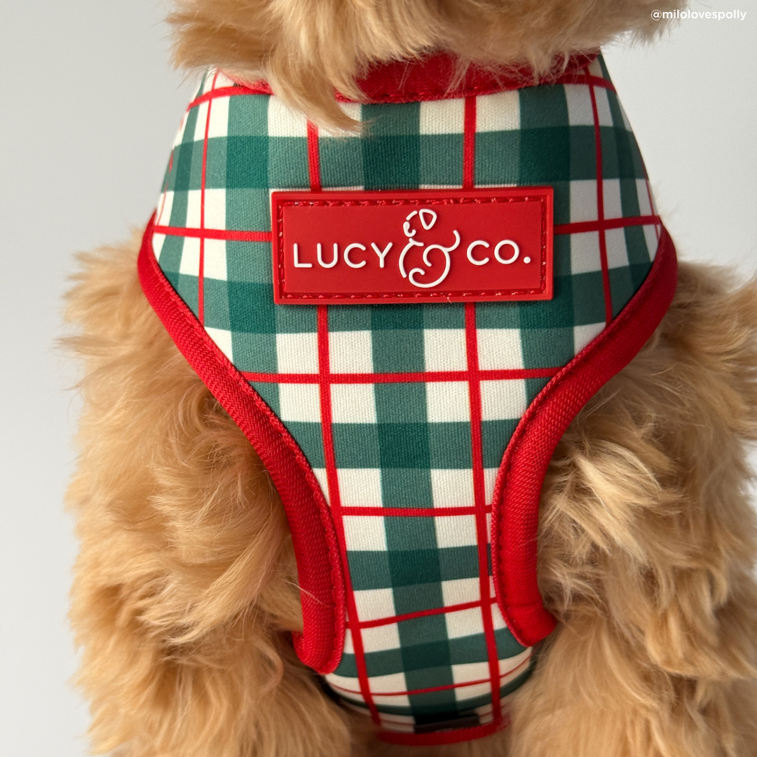 Lucy &amp; Co. - Wrap it Up Reversible Harness