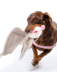 Awoo - Luna the Bat Organic Cotton Snuffle Toy