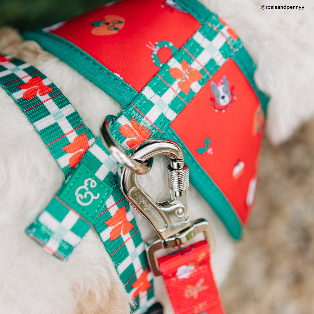 Lucy &amp; Co. - Happy Howlidays Reversible Harness