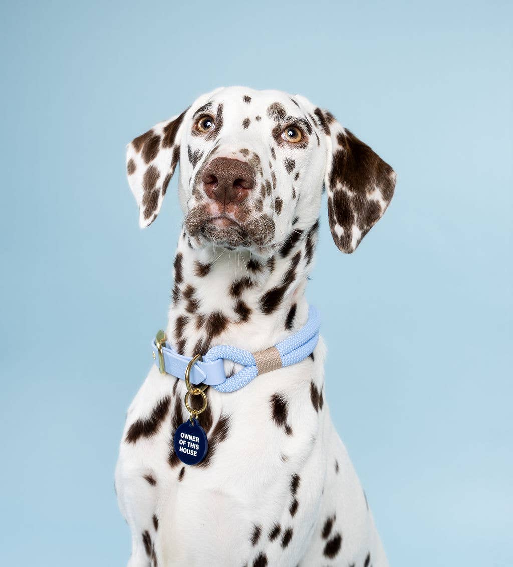 Freshwater Curated Goods™ - Owner Of This House Pet Tag