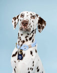 Freshwater Curated Goods™ - Owner Of This House Pet Tag