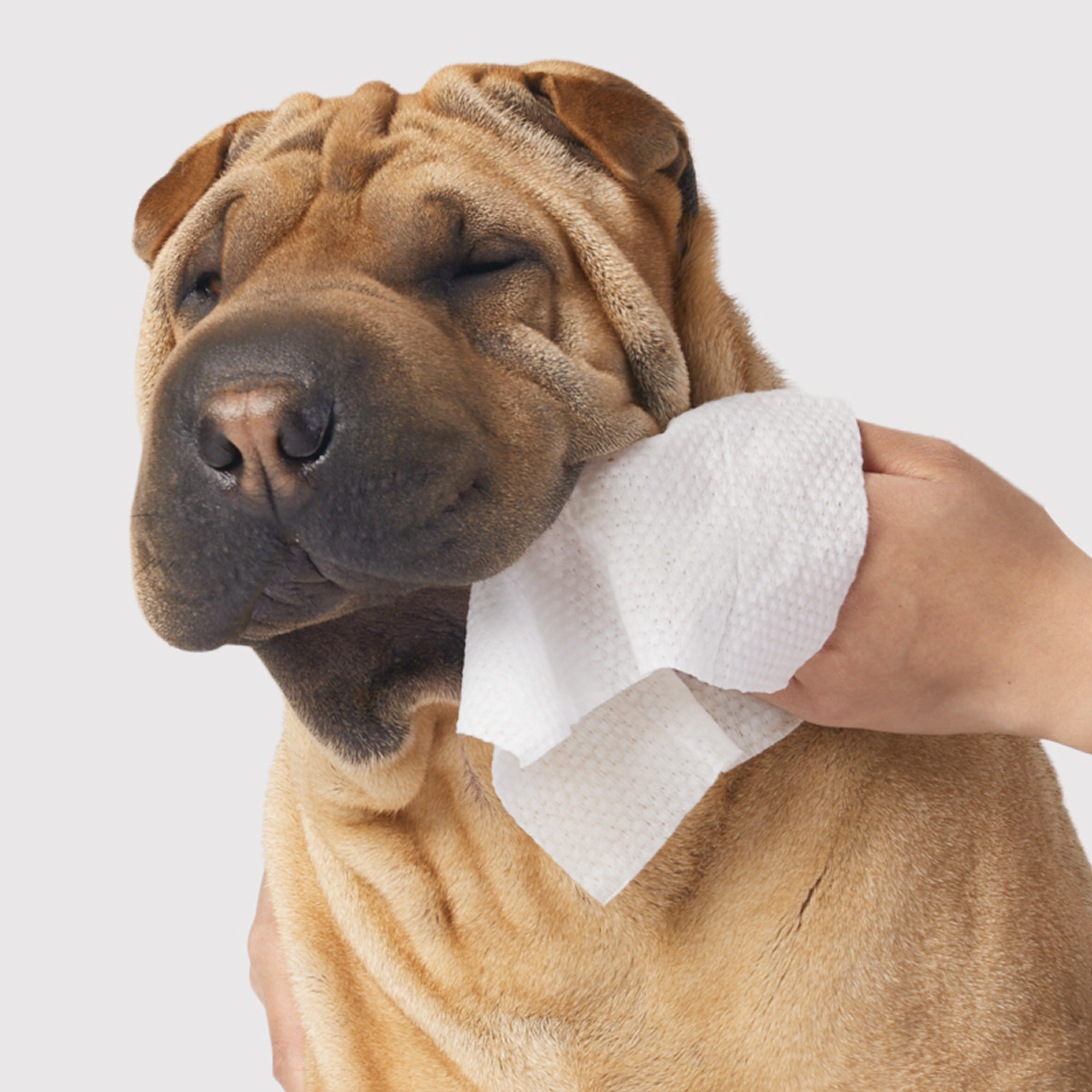Dandylion - Gentle Cleanse Dog Wipes - 90 Wipes