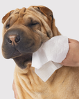 Dandylion - Gentle Cleanse Dog Wipes - 90 Wipes