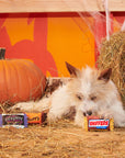 BARK Howl-O-Ween Candy Plush Dog Toy