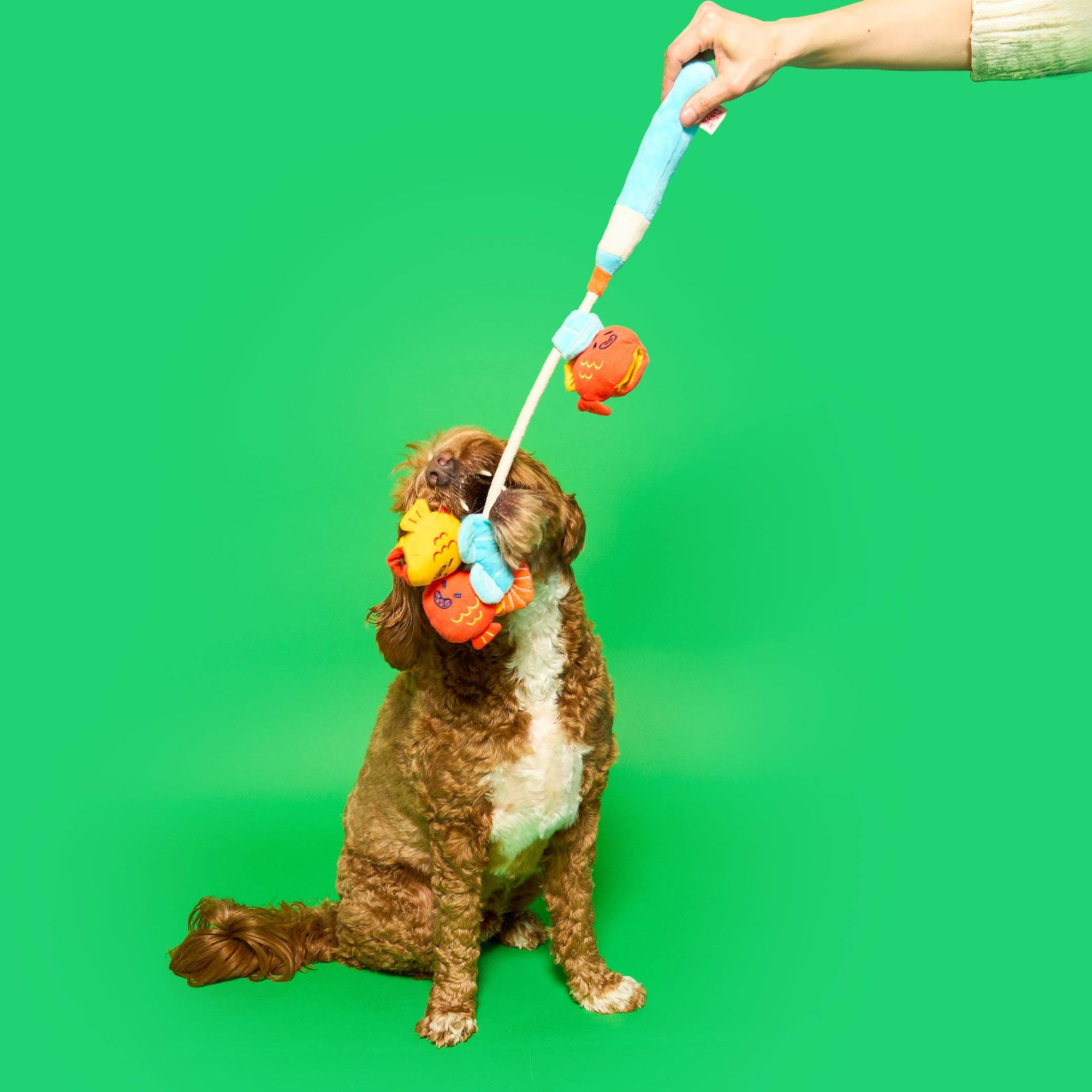the furryfolks - Fishing Nosework &amp; Tug Toy