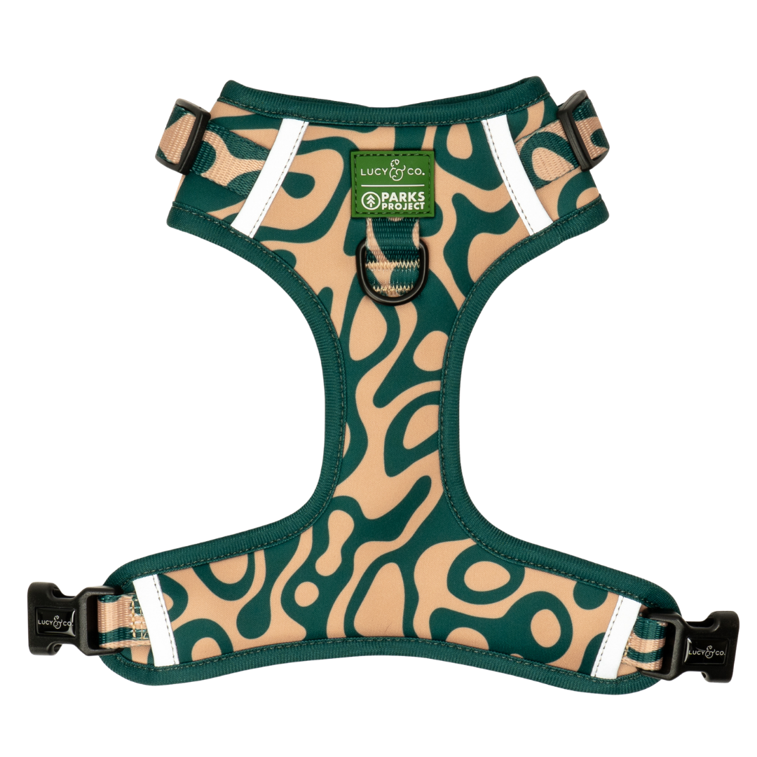 Lucy &amp; Co. - Lucy &amp; Co. x Parks Project Geyser No-Pull Harness