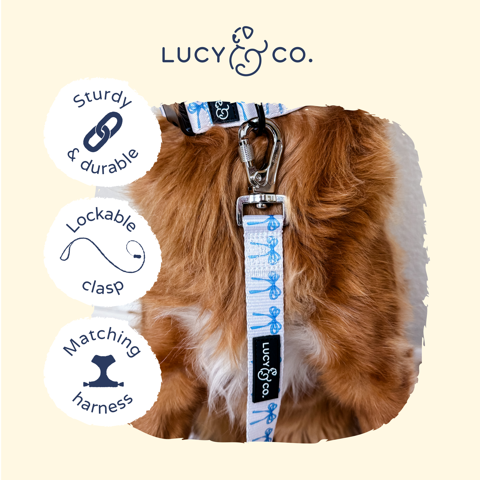 Lucy &amp; Co. - Bowwow Wow! Leash: L