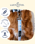 Lucy & Co. - Bowwow Wow! Leash: L