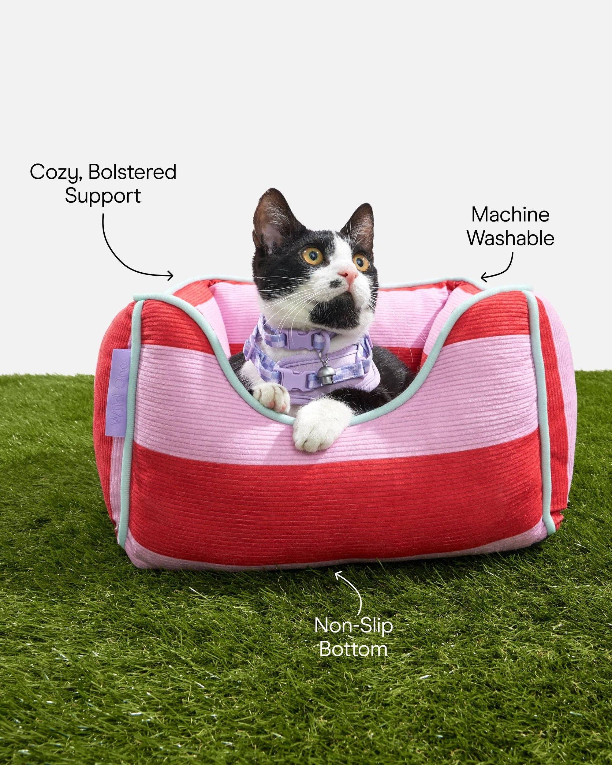 Wild One - Cat Bolster Bed: Bubblegum