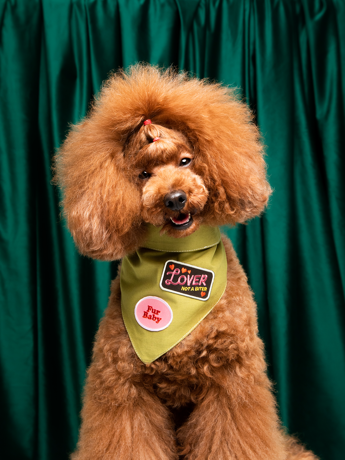Scout's Honour Pty Ltd - Lover not a Biter iron-on patch for dogs and cats