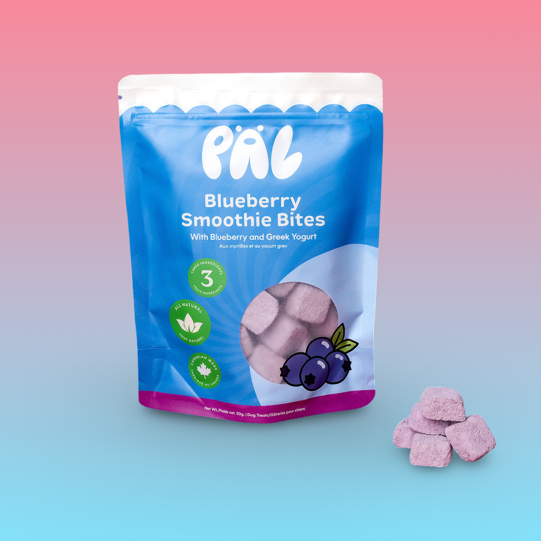 Pal Treat Co - Blueberry Smoothie